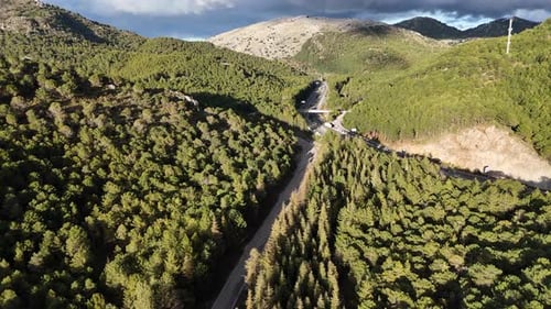 Aerial View of a Scenic Mountain Road Through a Pine Forest