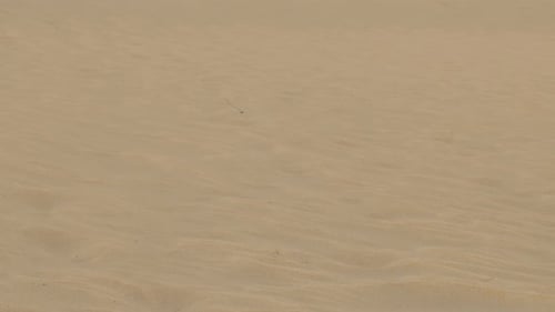 the burning sand in a desert