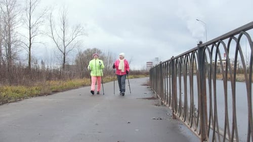 Nordic Walking Sport for Elderly Woman in Autumn Park Modern