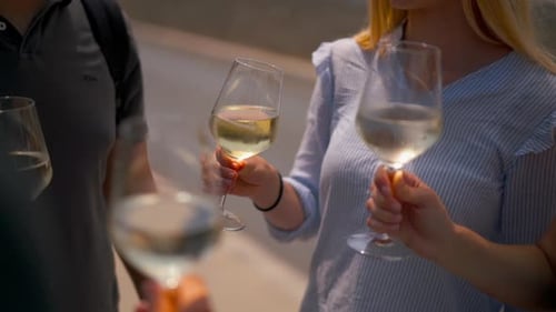 a group of friends toast with wine.