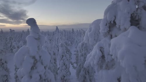 Drone above view of the tundra in the Urho Kekkonen Park in Finland
