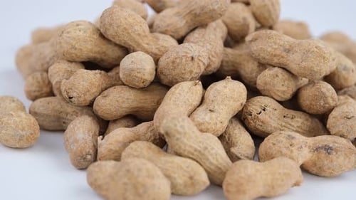 Pile of Peanuts in Shells on White Background