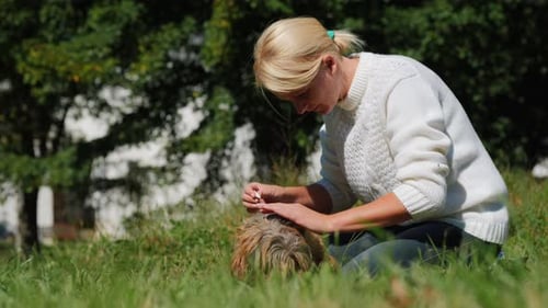 Woman Caring for Dog Outdoors on Green Lawn