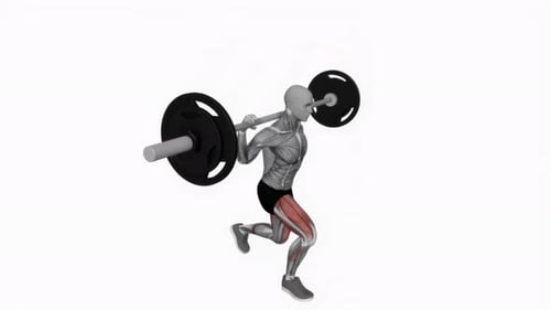 Barbell Lunge Exercise Anatomy with Muscle Highlight 3D Animation