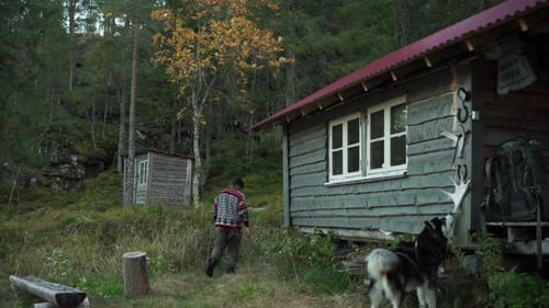 Man and Dog Approach Cabin in Rural Forest