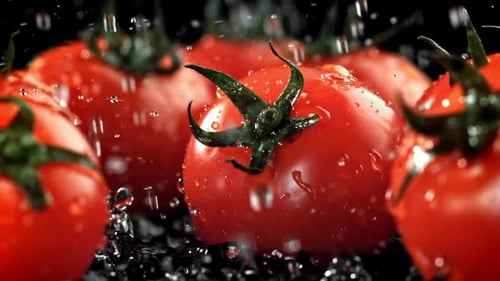 Water Droplets Fall on the Tomatoes Filmed on a Highspeed Camera at 1000 Fps