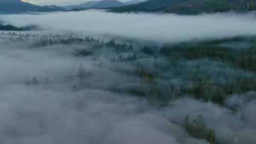 Valley By Mountains and Green Trees Covered in Fog Canadian Landscape Nature Aerial