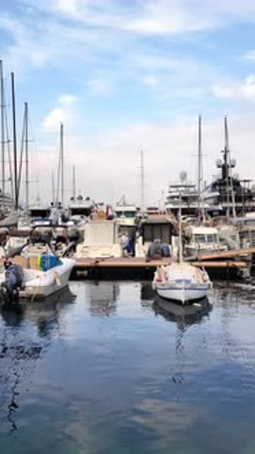 View of white boats docked in the Monaco Marina with the skyline of the city on the background. Vert