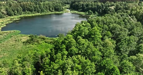 See, Sümpfe und Wald im Sommer. Luftaufnahme der Natur.