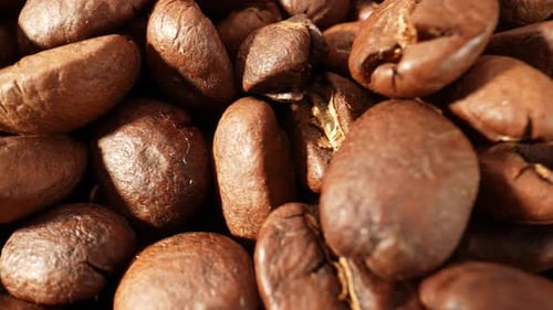 Beautiful coffee beans. Close-up macro video. 4K