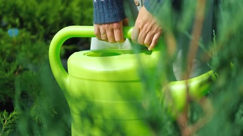 close-up woman holding watering can standing among plants