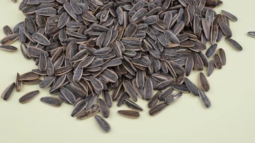 Pile of Dried Sunflower Seeds on Display