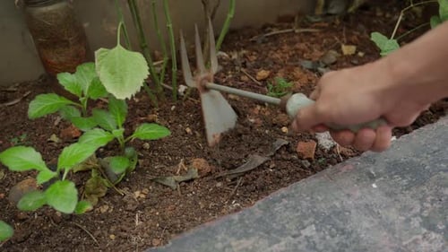 Hand holding a fork tool to dig soil in a small garden