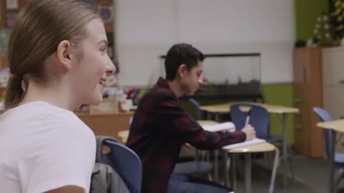 Students Studying in Classroom at School Learning Together