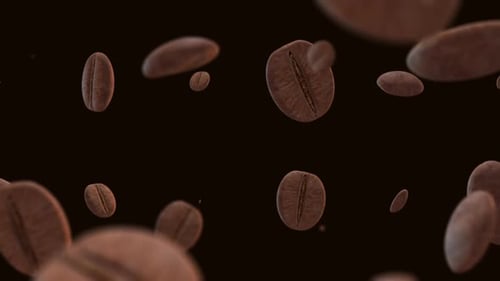 Realistic Floating Coffee Beans Seamless Loop Animation
