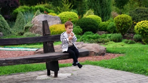 Beautiful Caucasian baby boy sits on the wooden bench in the park.