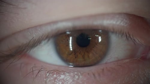 Close Up of Brown Eye Opening