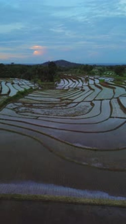 paysage de beauté indonésien rizières dans le nord de Bengkulu, belle vue matinale naturelle depuis l'Asie
