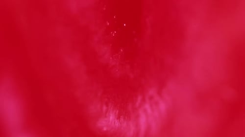 Ink Water Drop Fluid Spill Red Pink Liquid Wave
