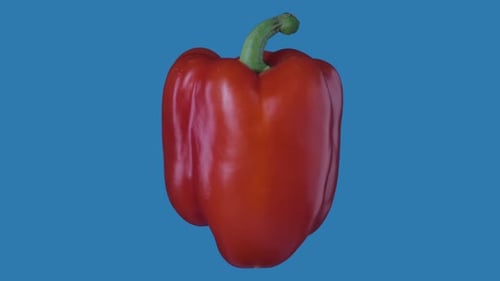 Red Bell Pepper Rotating on Blue Background