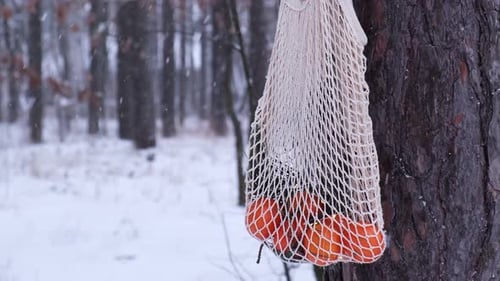 Bolsa de compras de malla con mandarinas en un bosque nevado de invierno al aire libre Go Green Concept