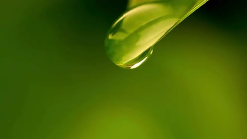 Water Drop Falling