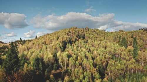 Green Mountain Forest at Ridge Aerial Nobody Nature Landscape Mount Ranges with Pine Trees