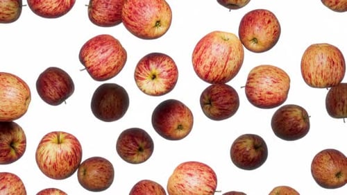 Endlessly Falling Red Apples on White