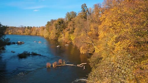 Forest and river wild landscape. Aerial view of forest with river during winter.