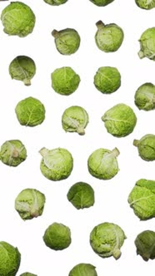 Slow Motion Falling Savoy Cabbage Seamless Loop