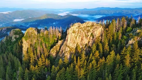 Mountain Range of Rhodope Mountains Covered with Vegetation Against the Backdrop of Valley Covered