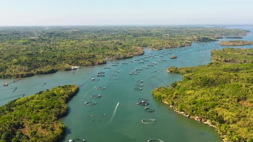 Fischfarm mit Käfigen auf den Philippinen