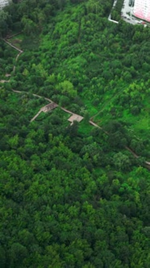 Luftaufnahme, Flug über dem Green City Park Forest, Clip