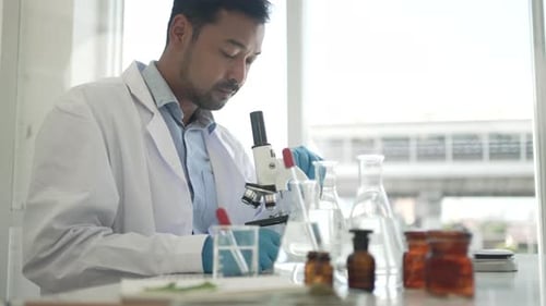 Scientist research cannabis at laboratory room.