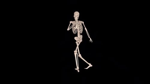 Skeleton Breakdance