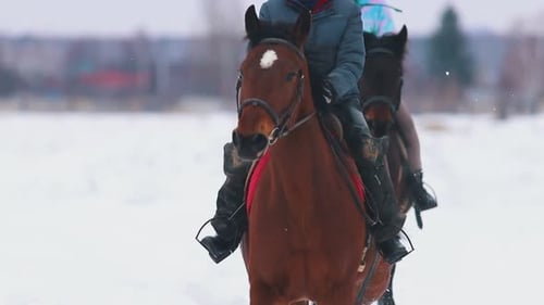 Three Women Riders Riding Horses in a Village