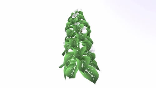 Stylized Green Plant with Large Leaves