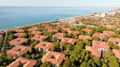 Luxurious Beach Resort with Swimming Pool and Beach Chairs and Palm Trees