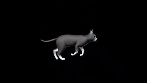 Black Cat Run Seitenwinkel 2