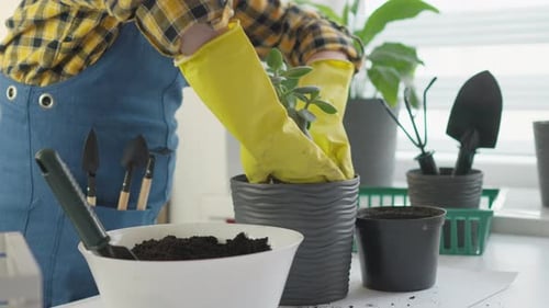 Creative Process in Video Where Woman Showcases Her Creativity and Individual Approach to