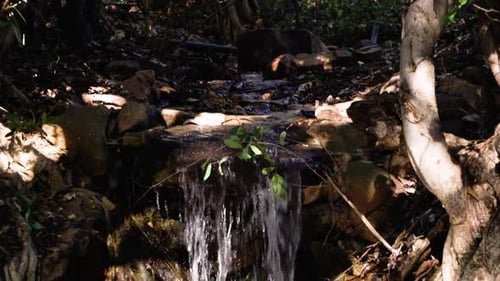 Ein sanfter Fluss findet seinen Höhepunkt, wenn er in eine große, geschwungene Wasserstraße mündet und für einen atemberaubenden Atem sorgt