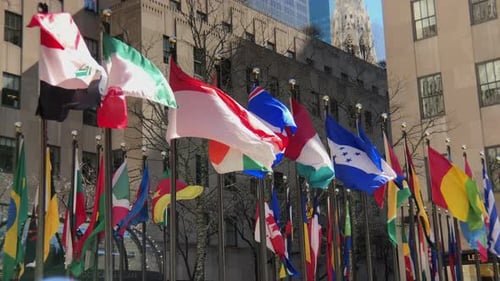 International Flags Flying in a Sunny City Location