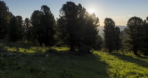 Mountain Meadow Timelapse Wild Nature and Rural Field Clouds Trees Green Grass and Sun Rays Movement