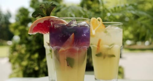 Iced Refreshment with Citrus and Mint