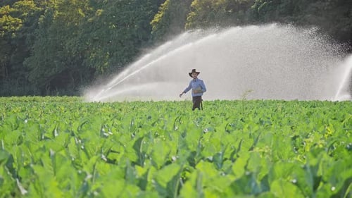 Farmer Using Digital Tablet During Monitoring His Plantation