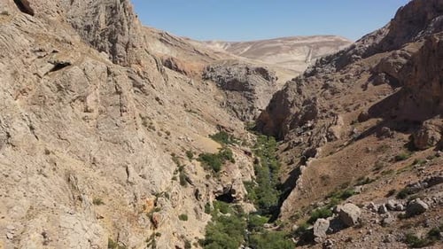 Aerial View Of Grand Canyon Trees And River 3