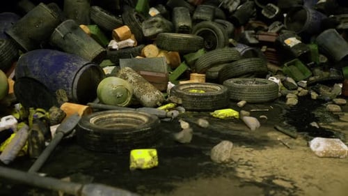 Estuarine Zone Showing Signs of Environmental Pressures and Waste Accumulation