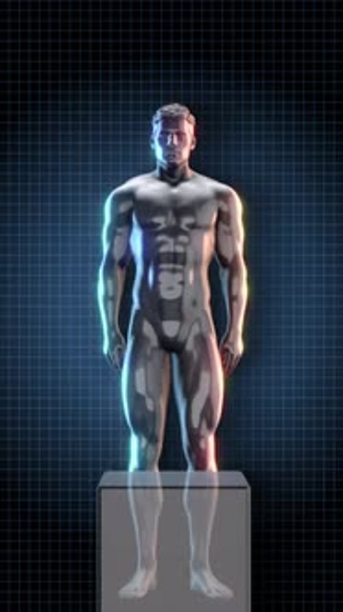 3D Animated Male Body Squats with Glowing Muscle Highlight