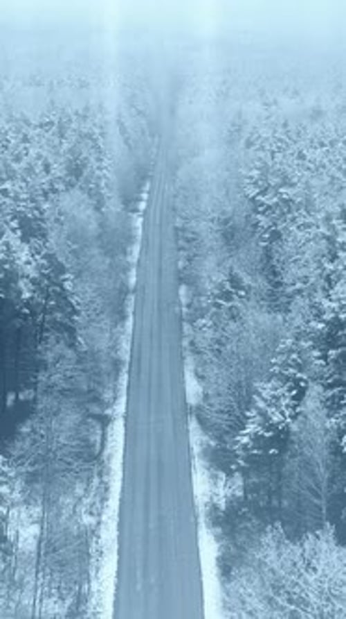 Road Through Beautiful Snowy White