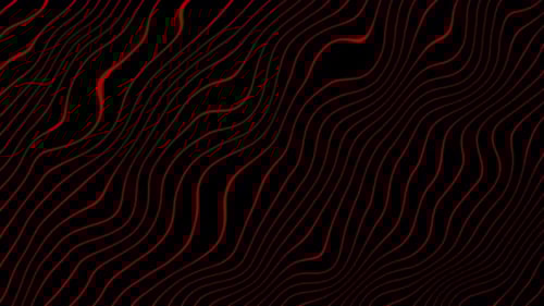 Abstract Flowing Red Wavy Lines Loop on Black Background
